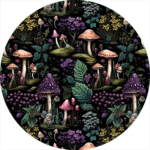 Enchanted Forest