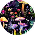 Garden Of Glow