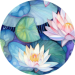 Waterlily