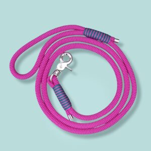 Fuschia
