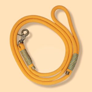 Apricot