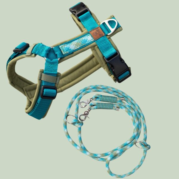 Bombay Blauw - Afbeelding 2