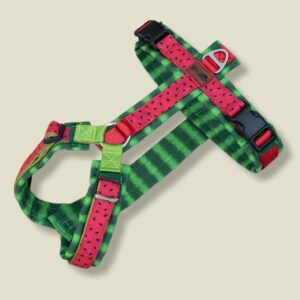 Sweet Watermelon