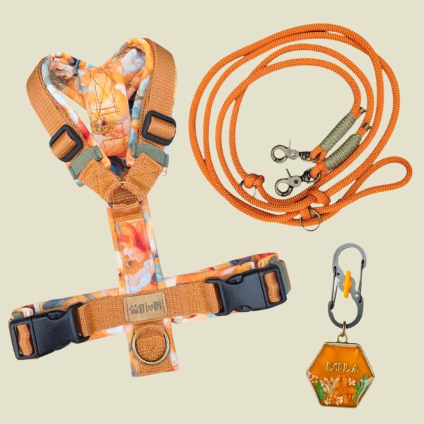 Fox Oranje - Afbeelding 3