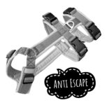 Anti Escape