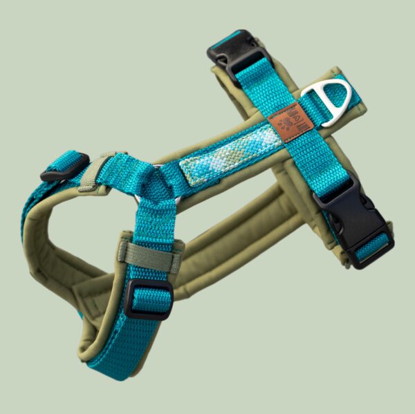 Bombay Blauw - Afbeelding 3