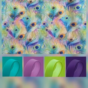 Colourful Feathers