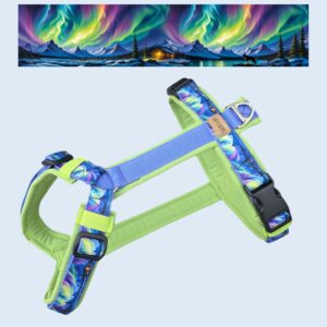 Northern Lights