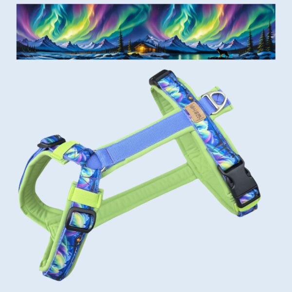 Northern Lights