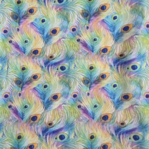 Colourful Feathers