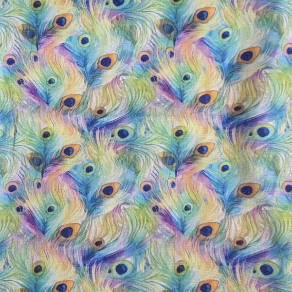 Colourful Feathers