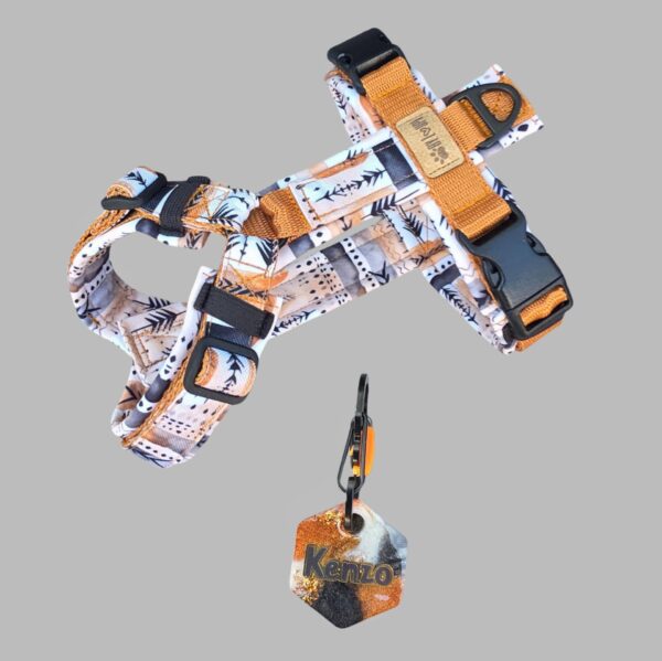 Aztec - Afbeelding 2
