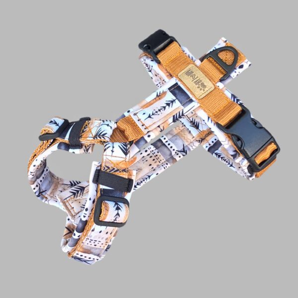 Aztec