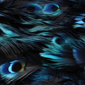 Feathered Twilight