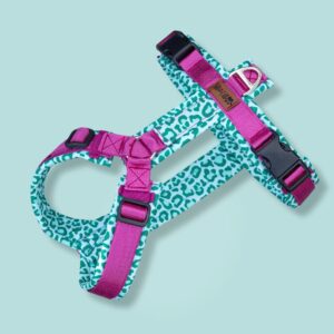 Minty Leopard
