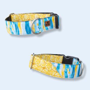 Sunny Lemon (Klikhalsband)