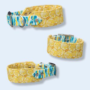Sunny Lemon (Biothane + Stof Halsband)