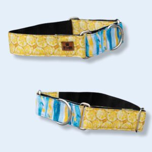 Sunny Lemon (Martingale)
