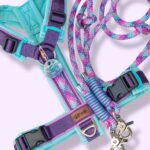 Paars Met Blauw
