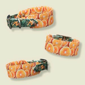 🍊Orange Oasis🍊 (Biothane + Stof Halsband)