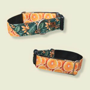 🍊Orange Oasis🍊 (Klikhalsband)