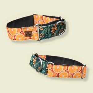 🍊Orange Oasis🍊 (Martingale)