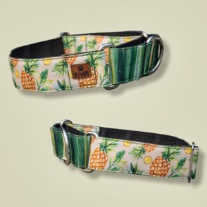 🍍Pineapple Paradise🍍 (Martingale)