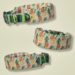 🍍Pineapple Paradise 🍍(Biothane + Stof Halsband)