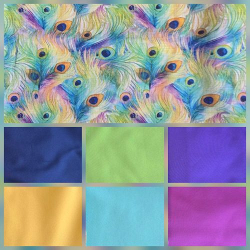Colourful Feathers